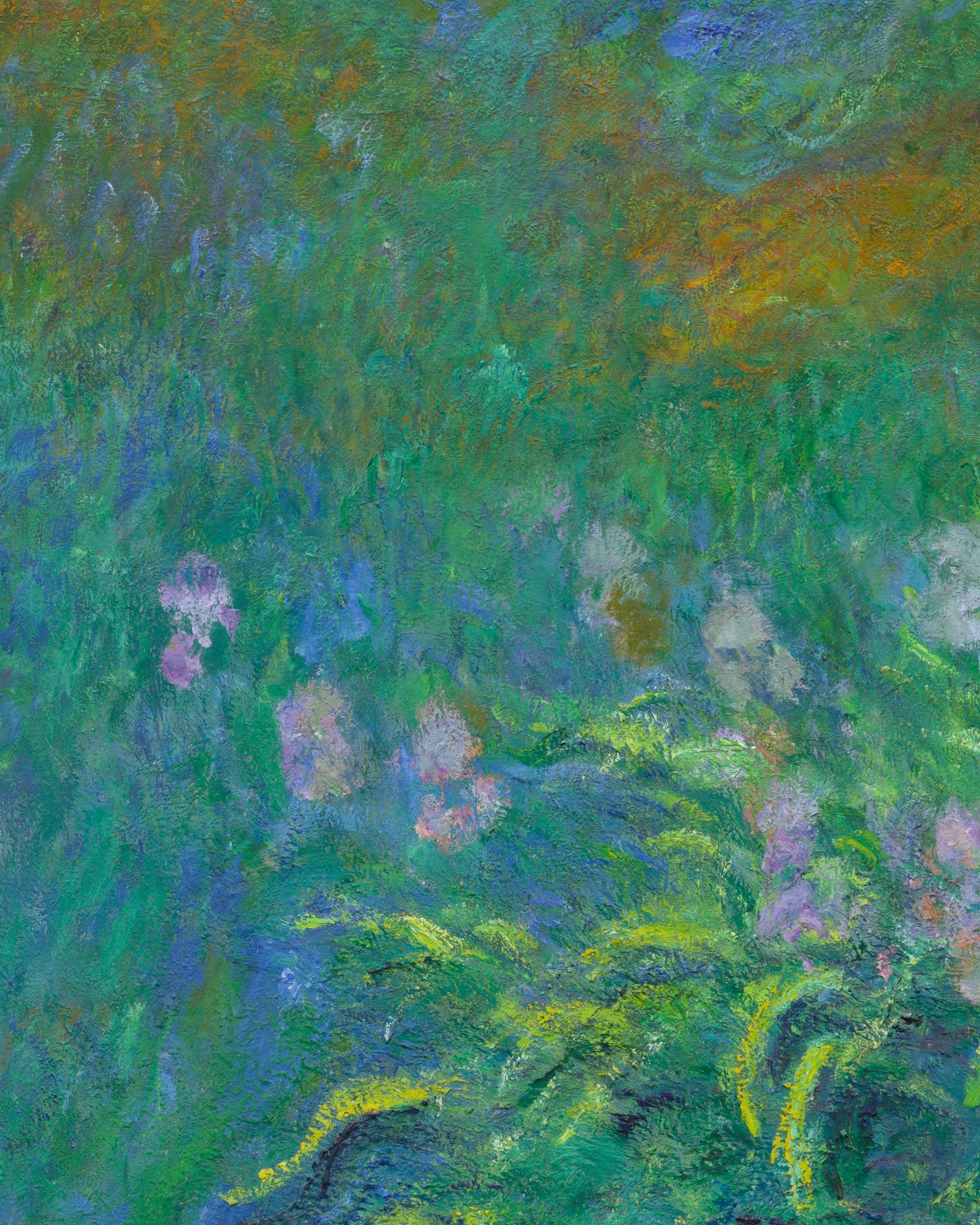 Claude Monet Iris - Obrazek artystyczny