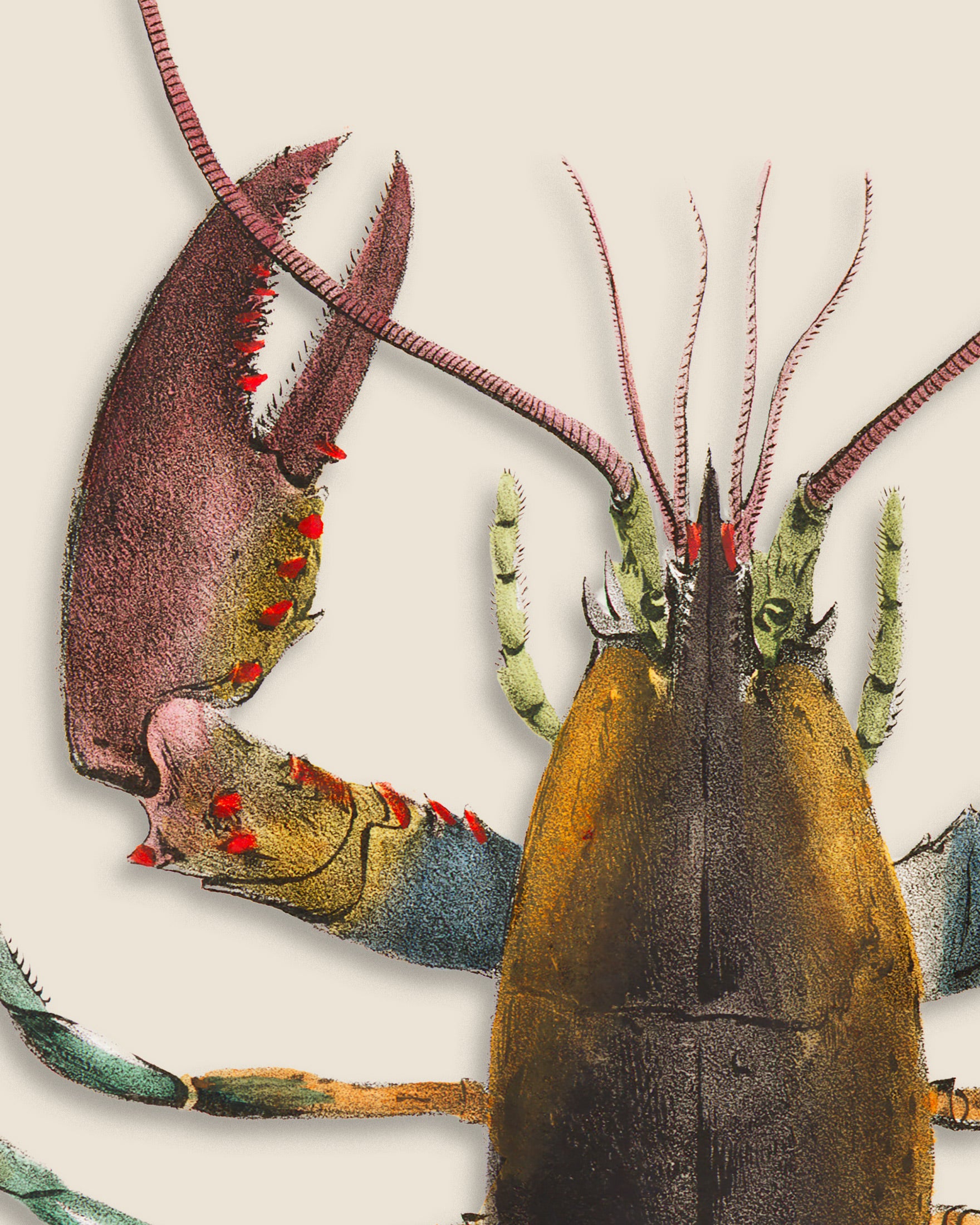 Plakat "Le Homard"