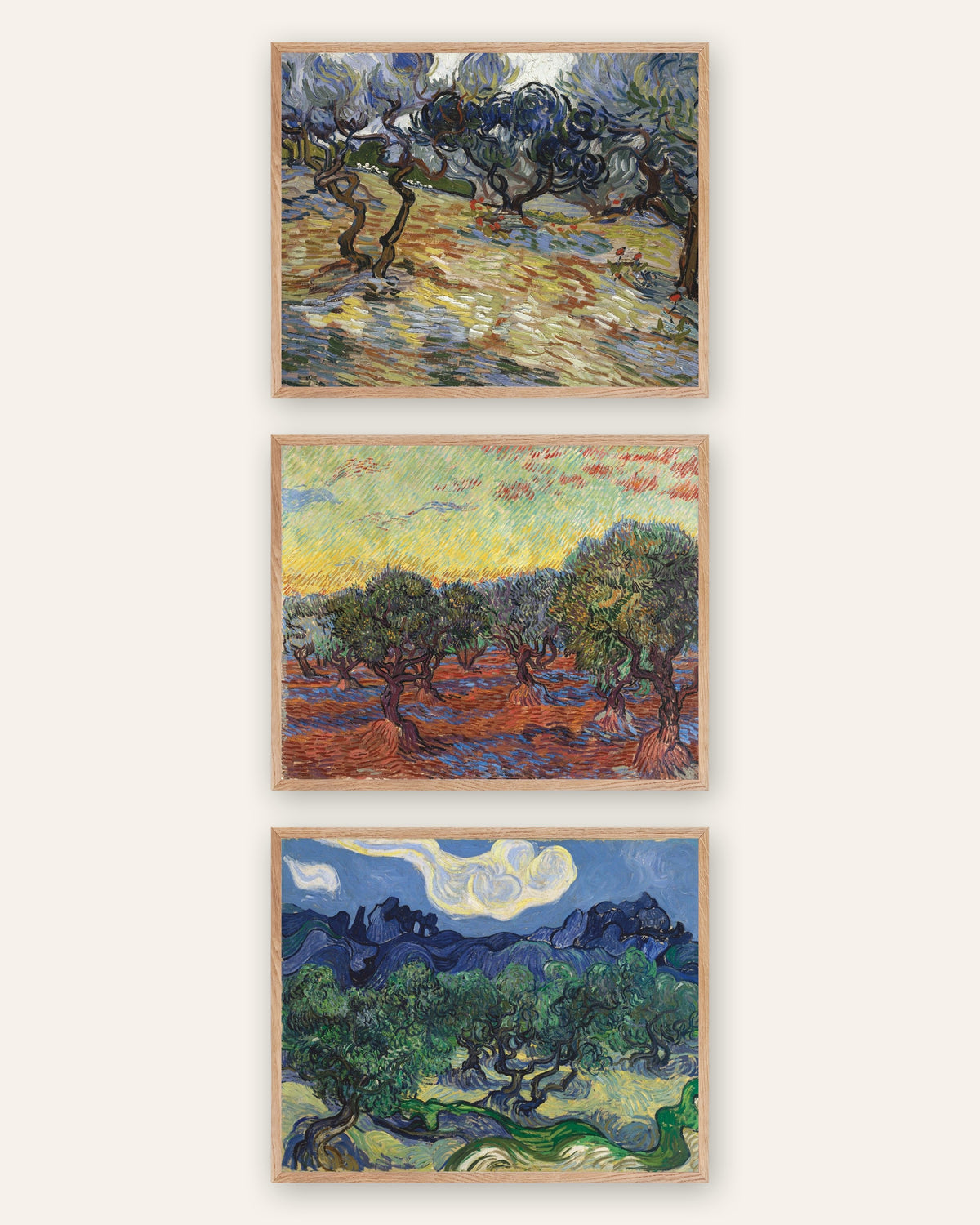 Plakaty Van Gogha z drzewami oliwnymi, zestaw 3: gaje oliwne z Saint-Rémy, w ramach z naturalnego dębu