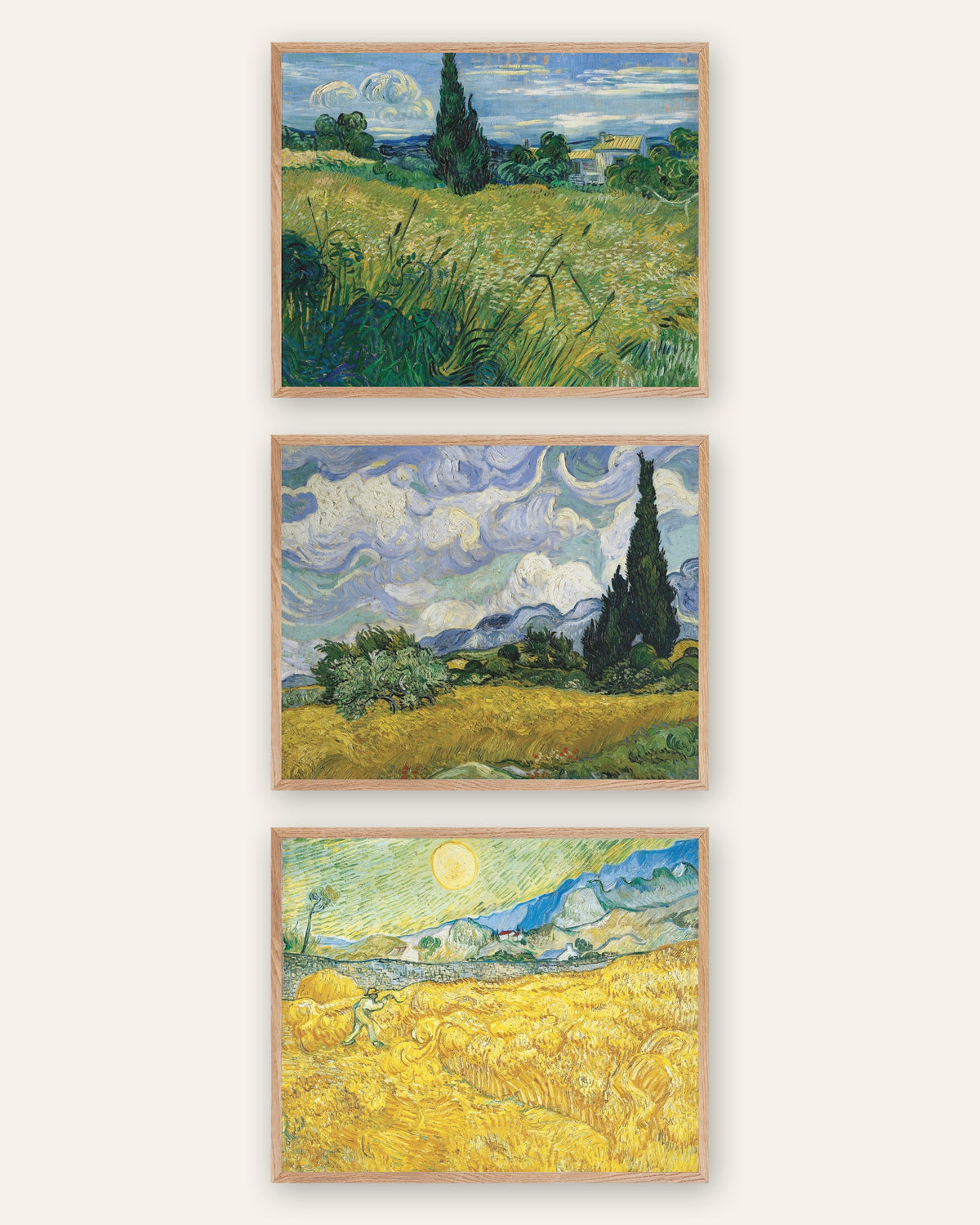 Plakaty Van Gogha z polami pszenicy, zestaw 3: cyprysy i żniwa, w ramach z naturalnego dębu
