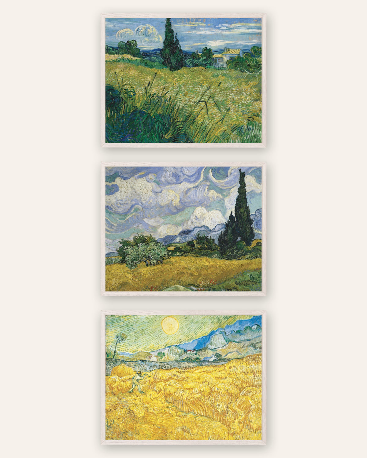 Plakaty Van Gogha z polami pszenicy, zestaw 3: cyprysy i żniwa, w ramach z białego dębu
