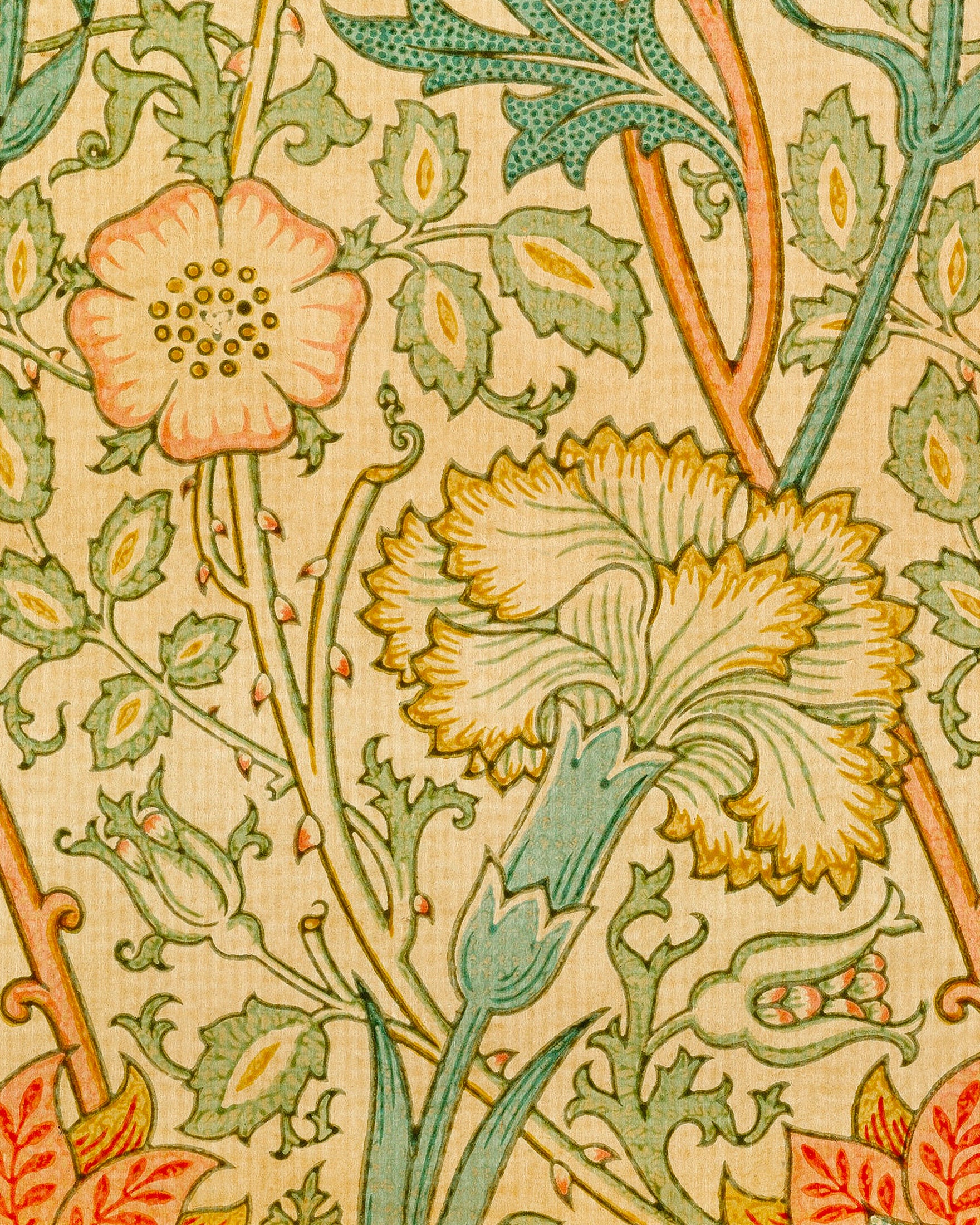 William Morris Tapeta - Plakat