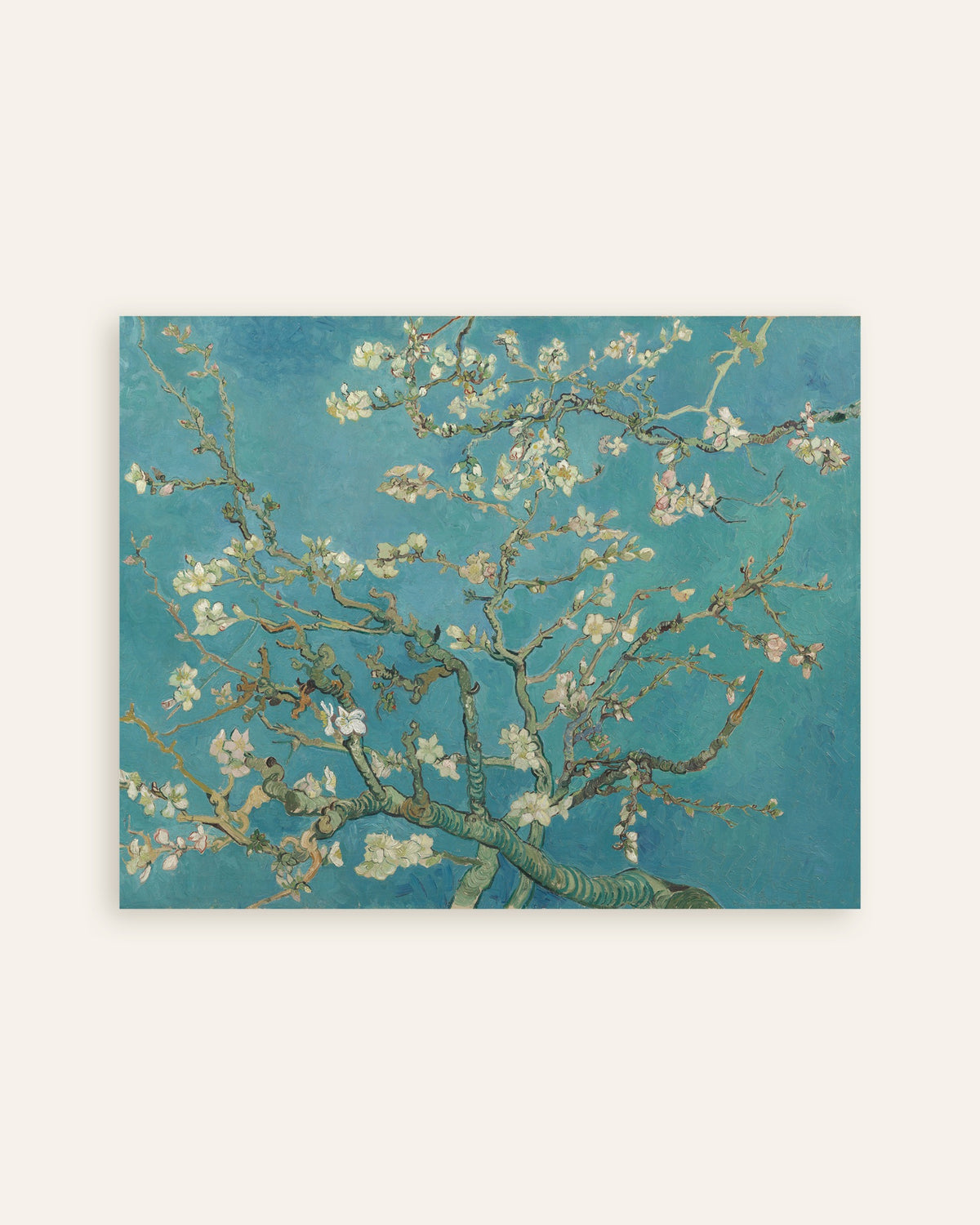 Plakat „Kwitnący migdałowiec (1890), Vincent van Gogh”, miniatura