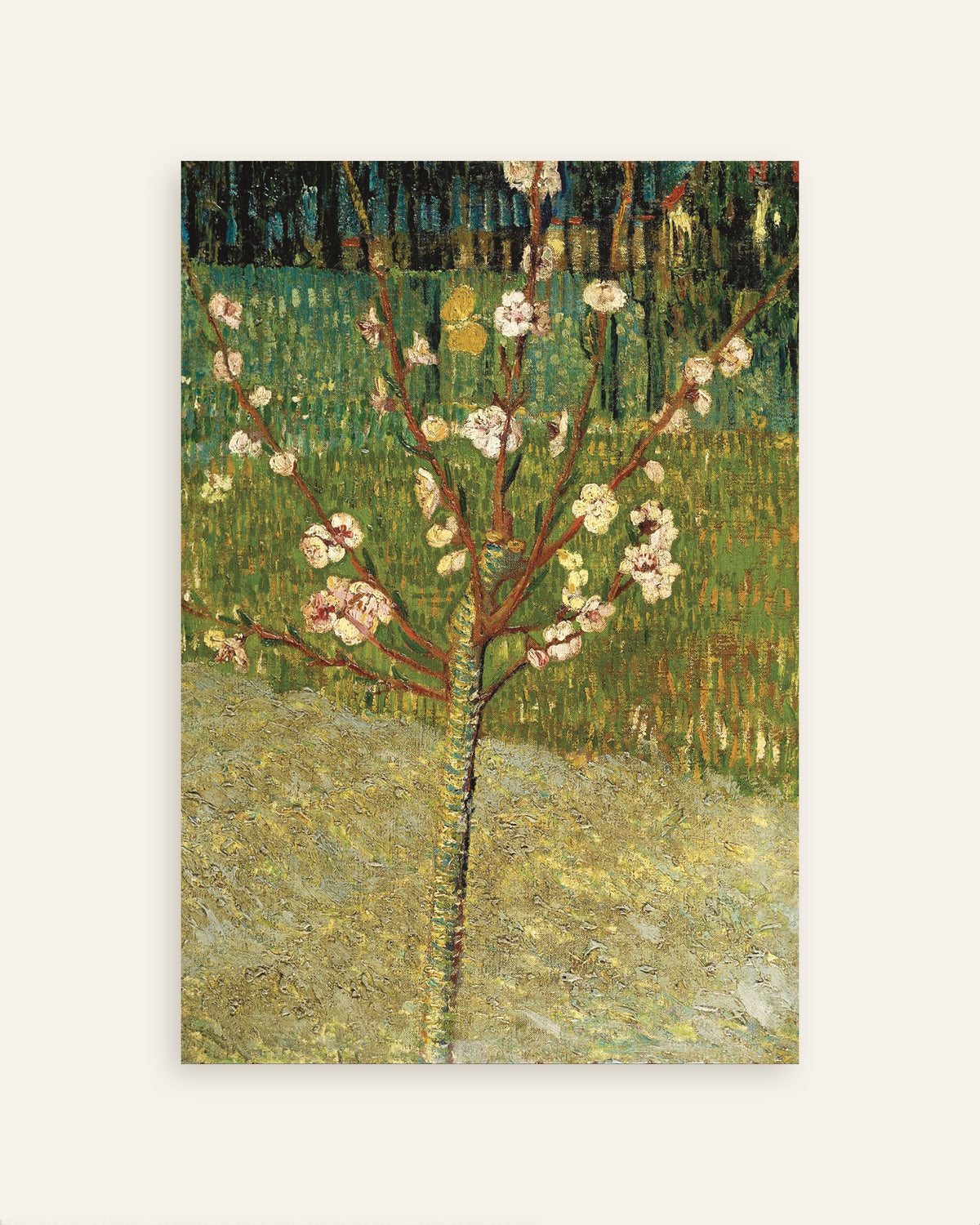 Miniatura plakatu przedstawiającego Kwitnący migdałowiec (1888) Vincenta van Gogha