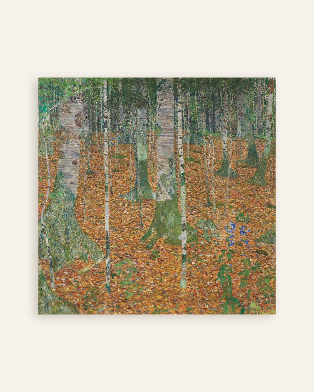 Plakat Las brzozowy (1903), Gustav Klimt, miniatura