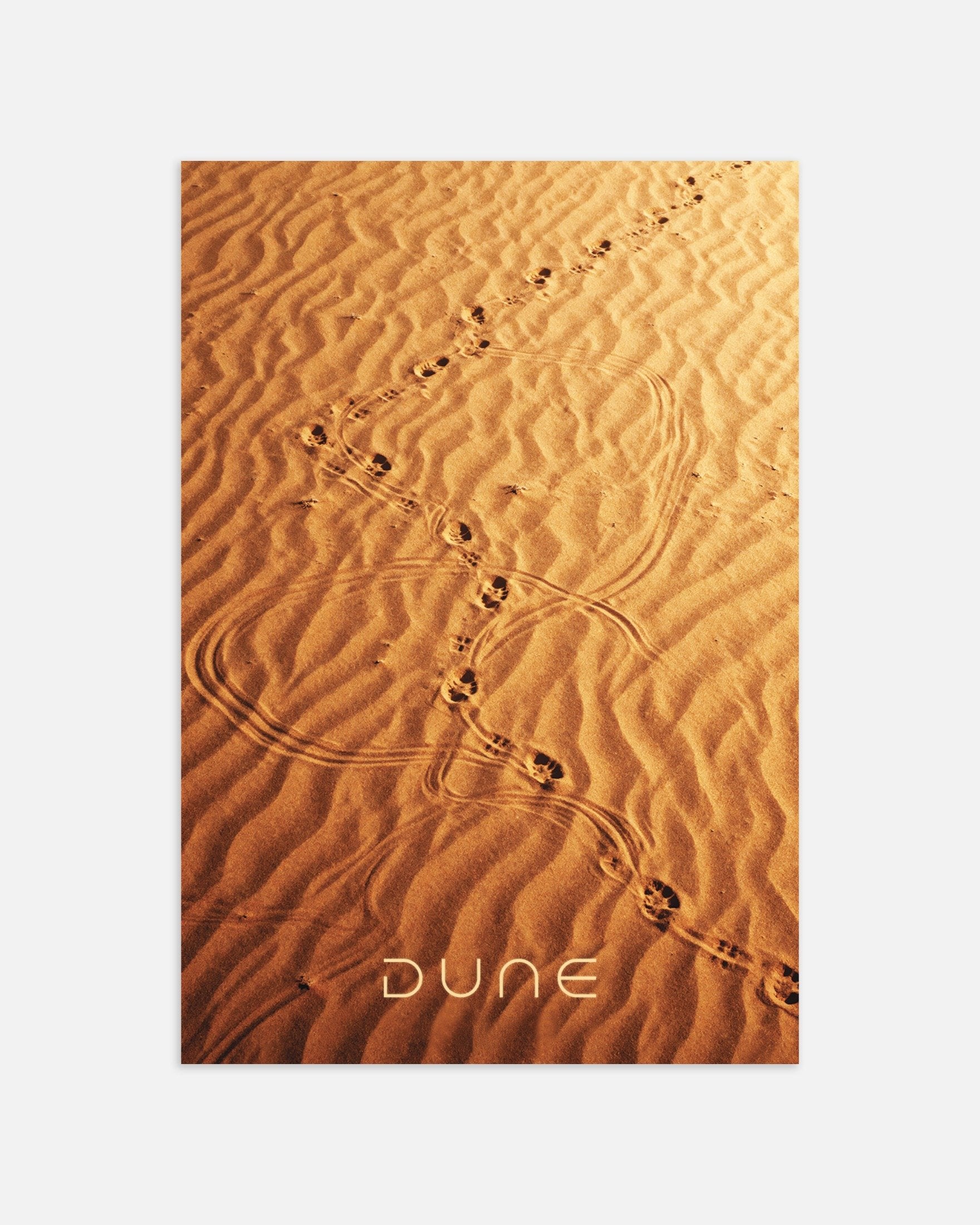 Poster of Dune Sandwalk, Desert footsteps poster, thumbnail
