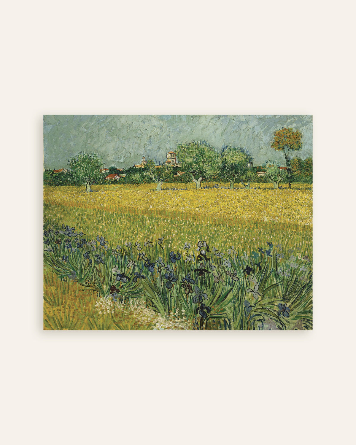 Plakat „Pole z irysami w pobliżu Arles (1888), Vincent van Gogh”, miniatura