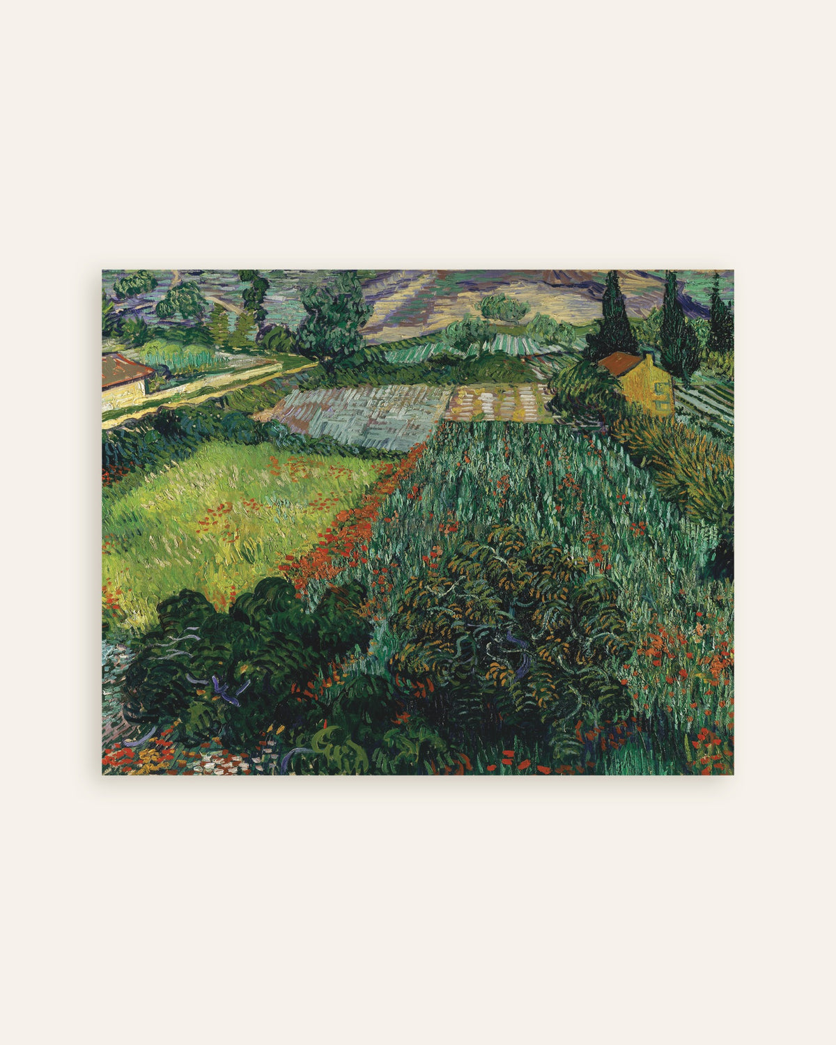 Plakat przedstawiający Pole z makami (1889), Vincent van Gogh, miniatura