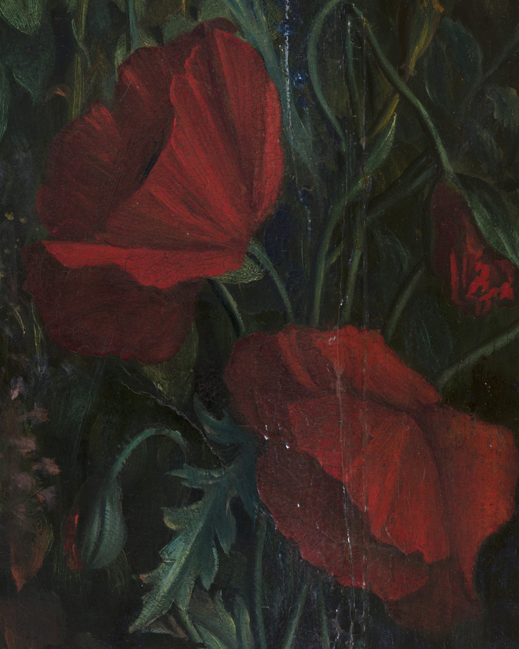 Louis Janmot "Fleur des Champs" Detal Ręki - Plakat Czerwonych Tulipanów