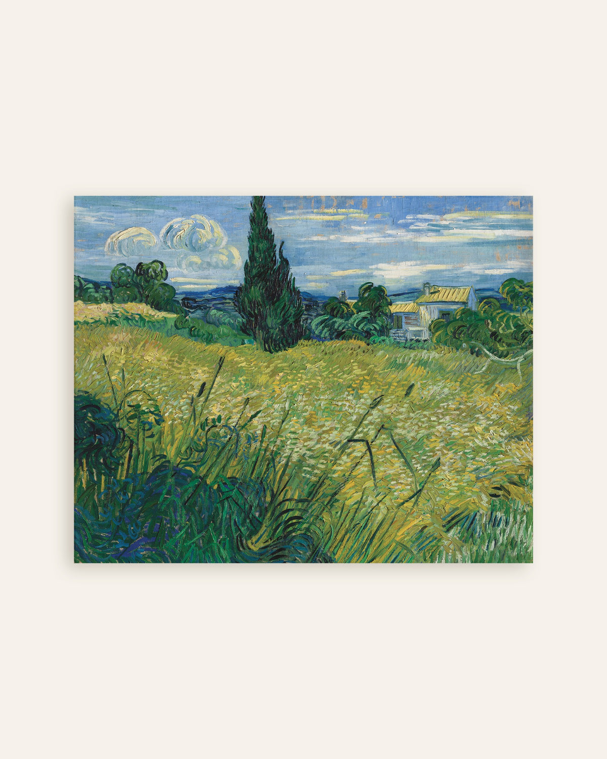 Plakat „Zielone pole pszenicy z cyprysem (1889), Vincent van Gogh”, miniatura