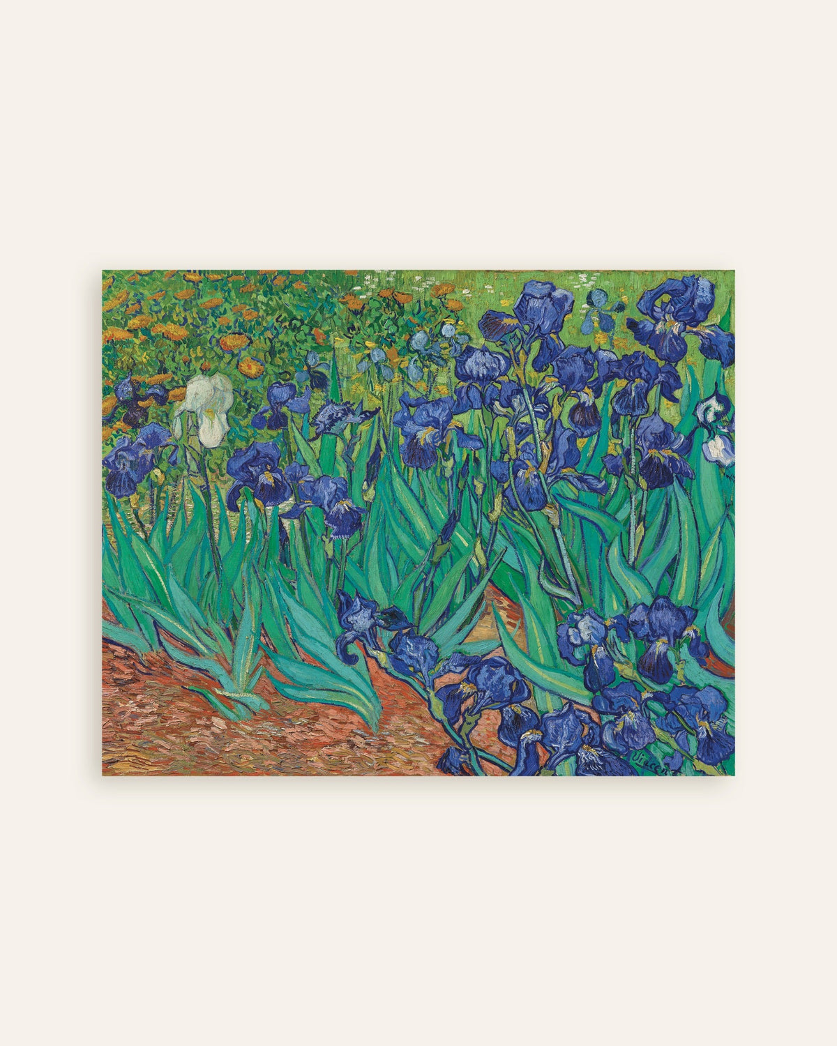 Plakat Irysy (1889), Vincent van Gogh, miniatura