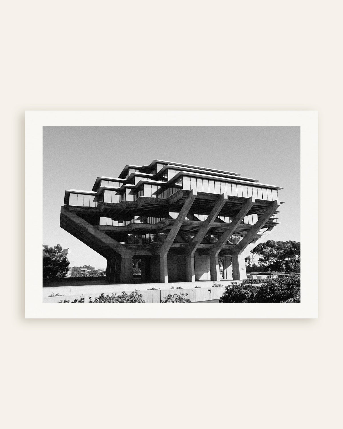 Plakat „Biblioteka na betonowych palach”, miniatura
