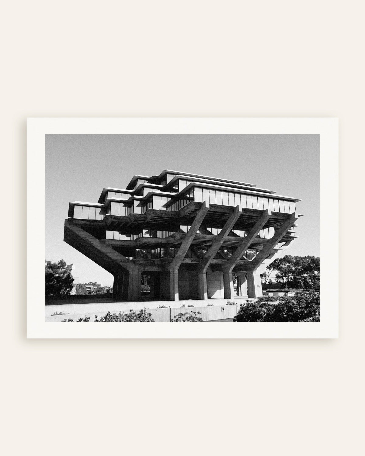 Plakat „Biblioteka na betonowych palach”, miniatura