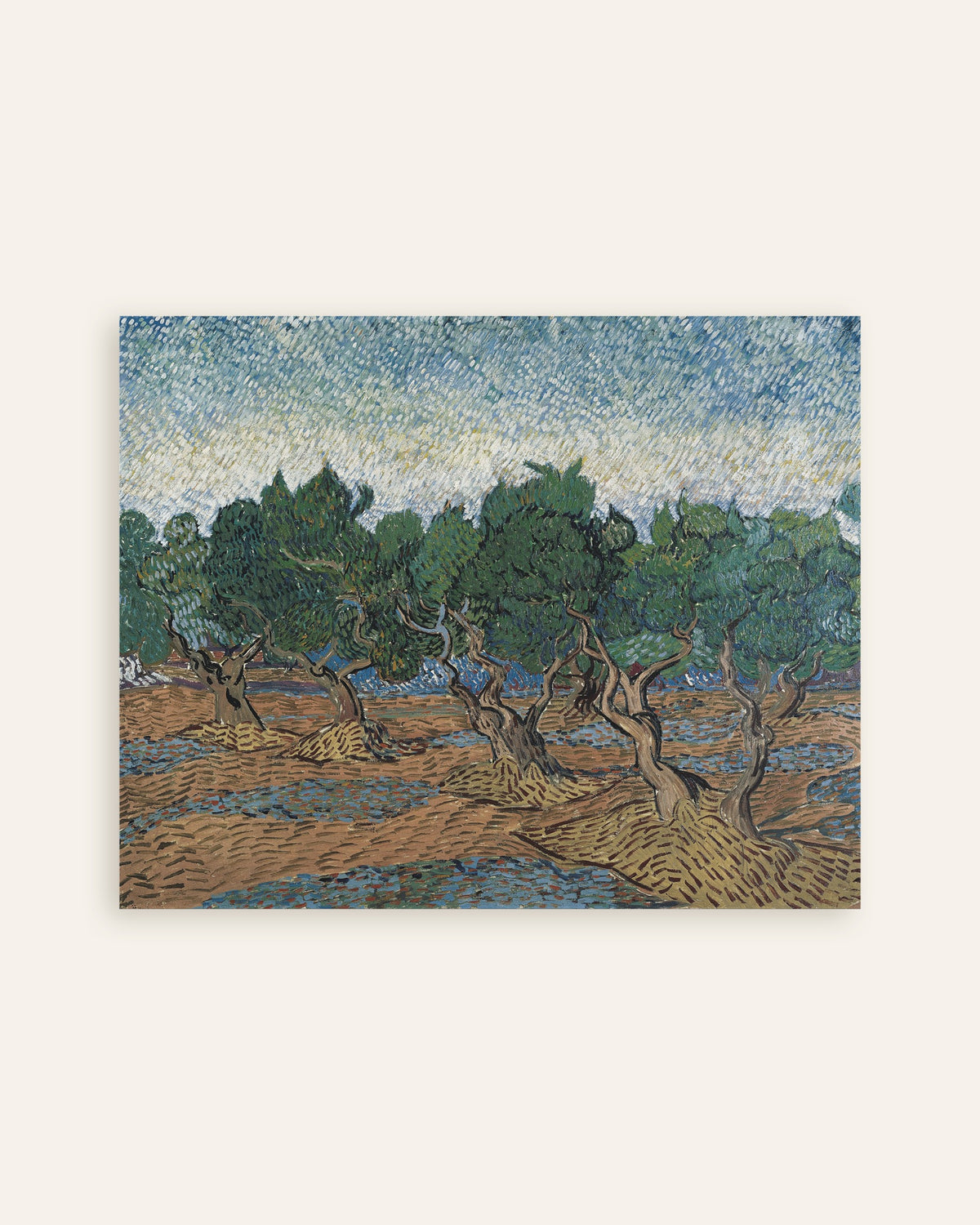 Plakat przedstawiający Gaj oliwny (1889), Vincent van Gogh, miniatura