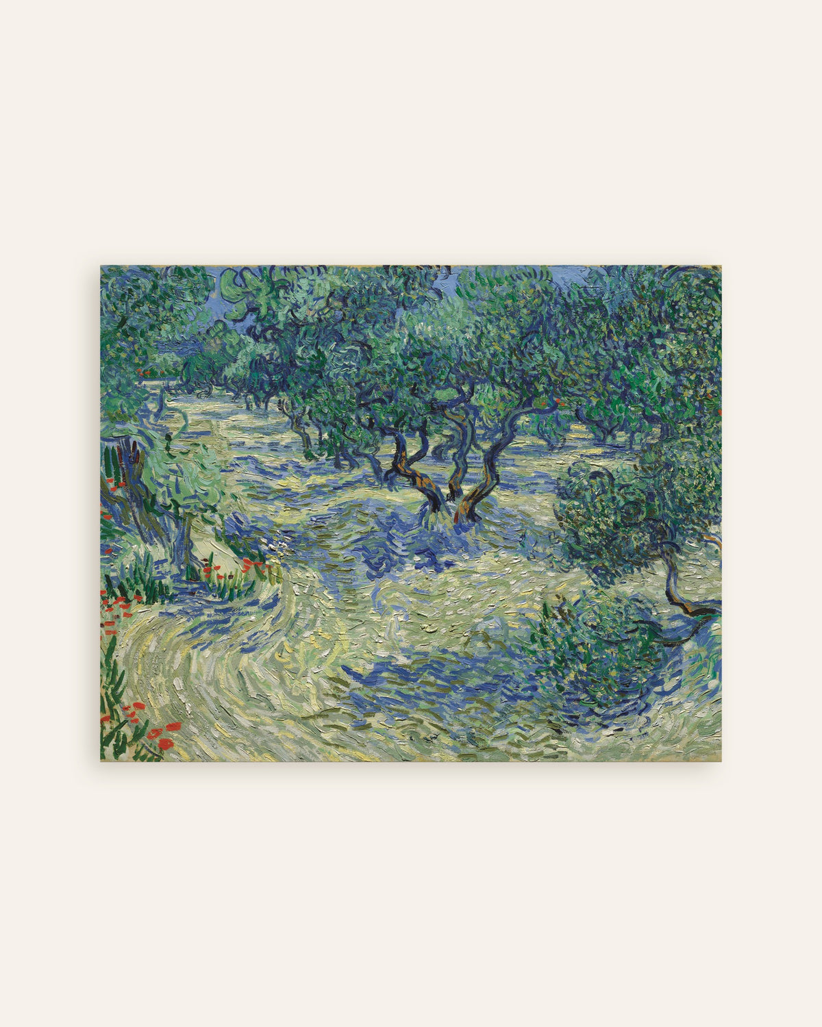 Plakat „Oliwny gaj (1889), Vincent van Gogh”, miniatura