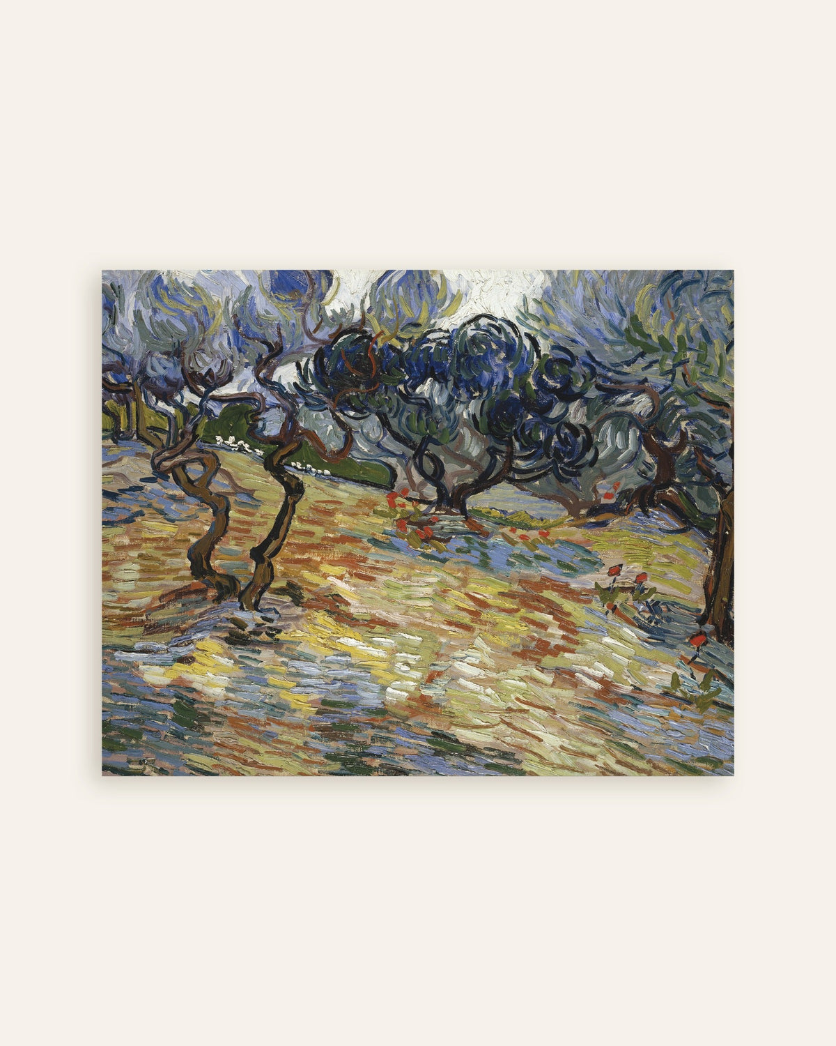Plakat Drzewa oliwne (1889), Vincent van Gogh, miniatura