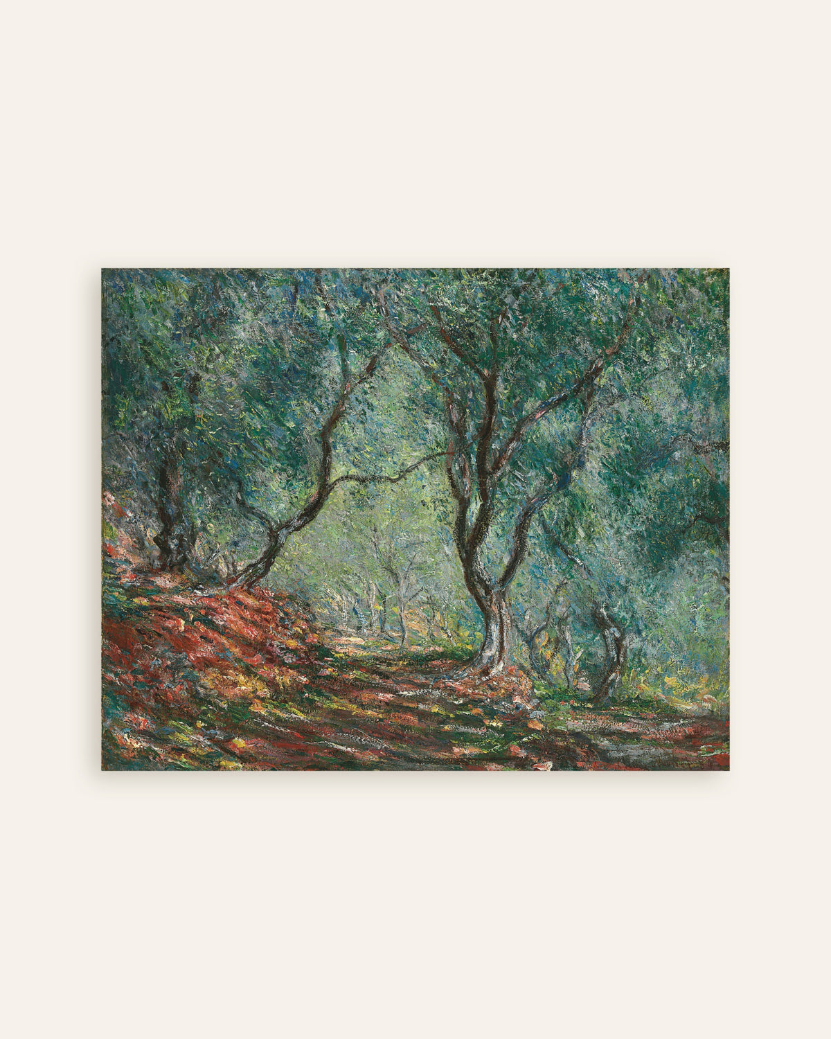 Plakat Gaj oliwny w ogrodzie Moreno (1884), Claude Monet, miniatura