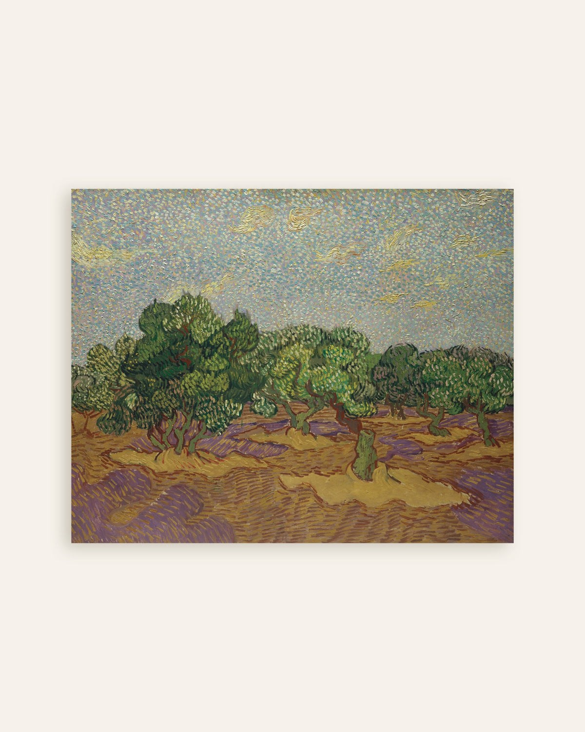 Plakat „Drzewa oliwne pod bladym niebem (1889), Vincent van Gogh”, miniatura