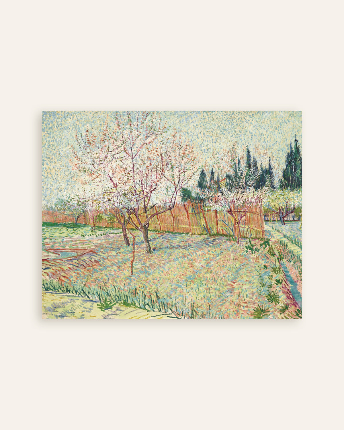 Plakat „Sad otoczony cyprysami (1888), Vincent van Gogh”, miniatura
