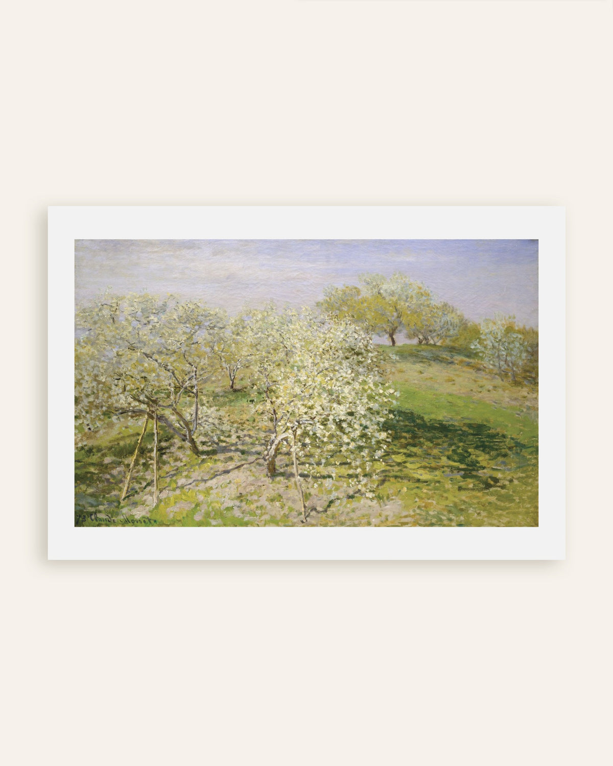Plakat Wiosna, kwitnące drzewa owocowe (1873), Claude Monet, miniatura