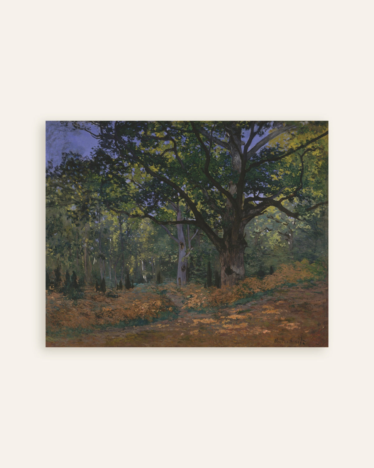 Plakat Dąb Bodmera, las Fontainebleau (1865), Claude Monet, miniatura