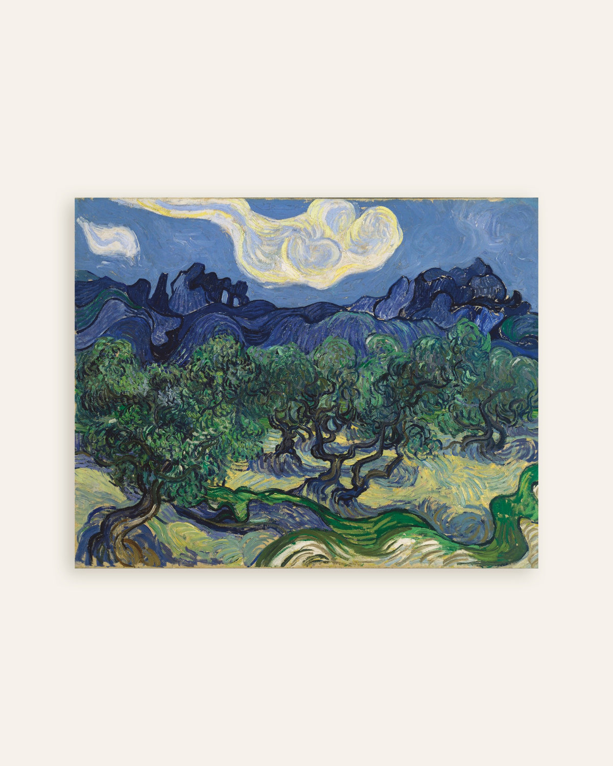 Plakat Drzewa oliwne (1889) Vincenta van Gogha, miniatura
