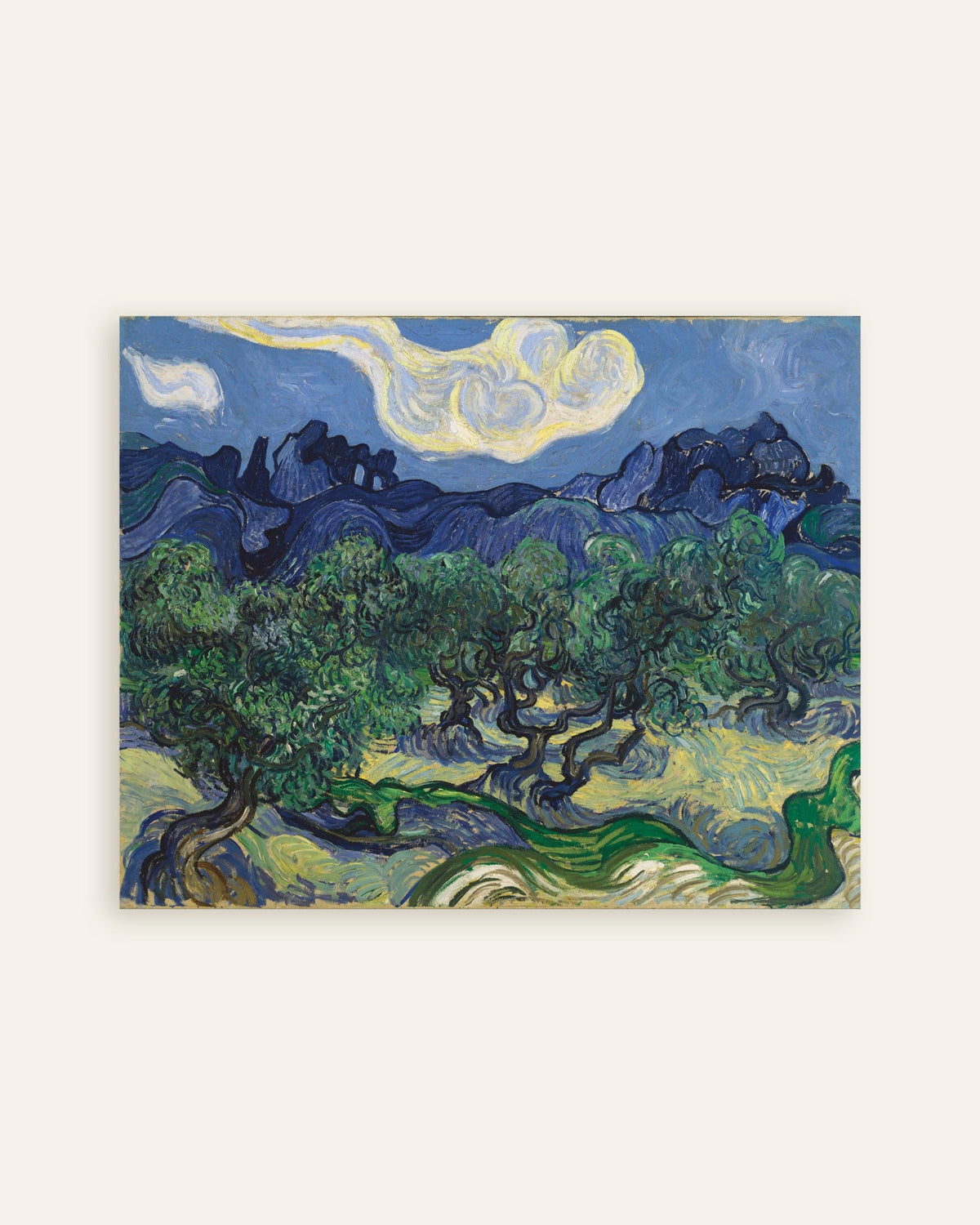 Plakat Drzewa oliwne (1889) Vincenta van Gogha, miniatura