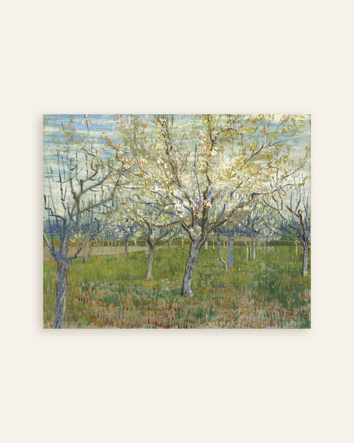 Plakat Różowy sad (1888), Vincent van Gogh, miniatura
