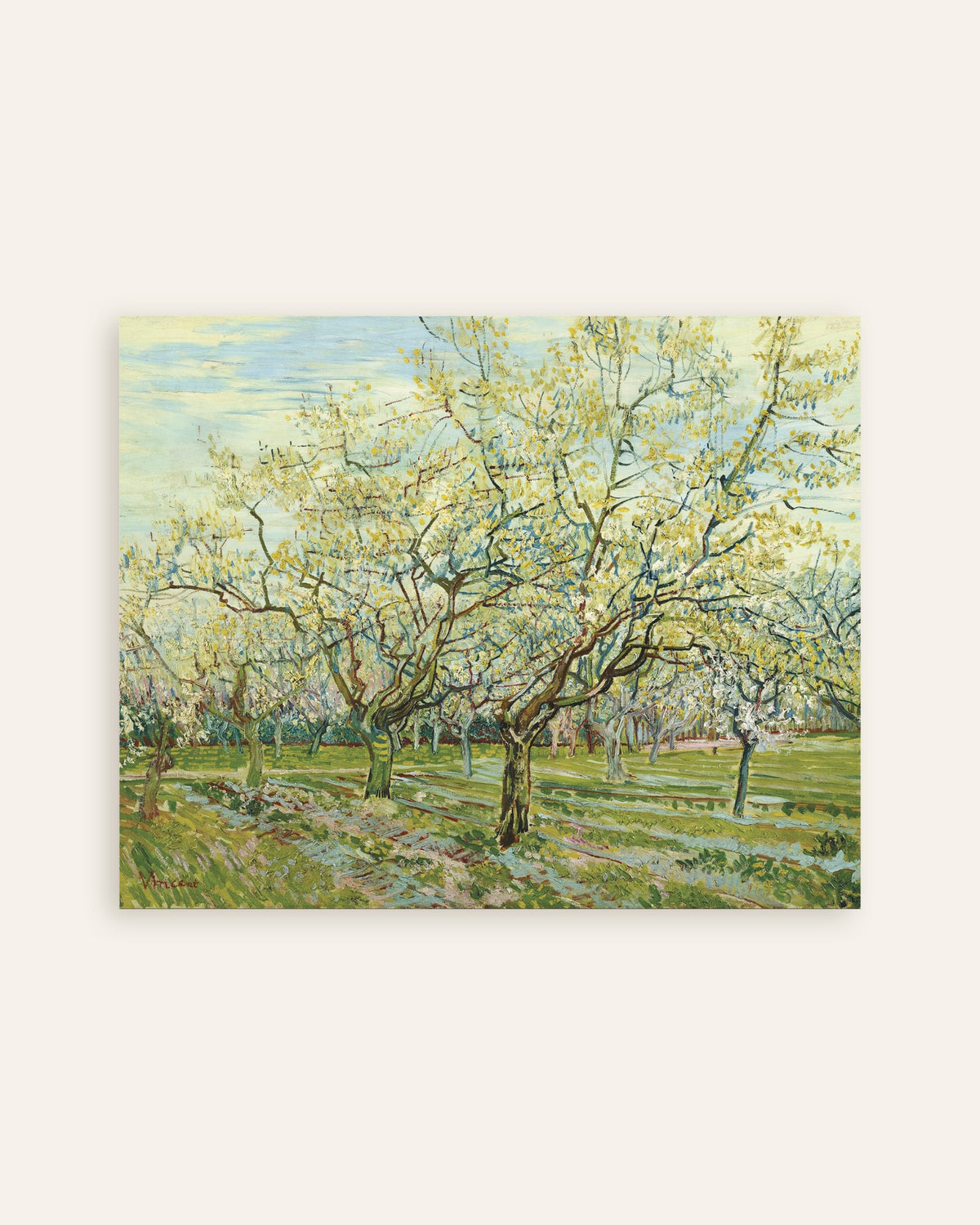 Plakat „Biały sad (1888), Vincent van Gogh”, miniatura