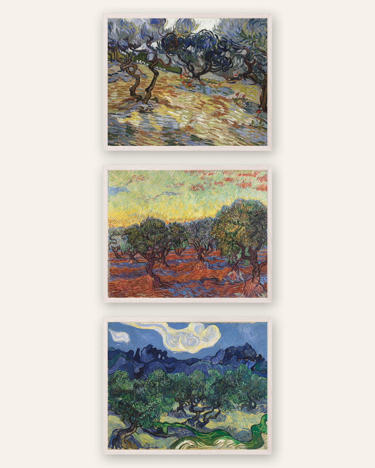 Plakaty Van Gogha z drzewami oliwnymi, zestaw 3: gaje oliwne z Saint-Rémy, w ramach z białego dębu