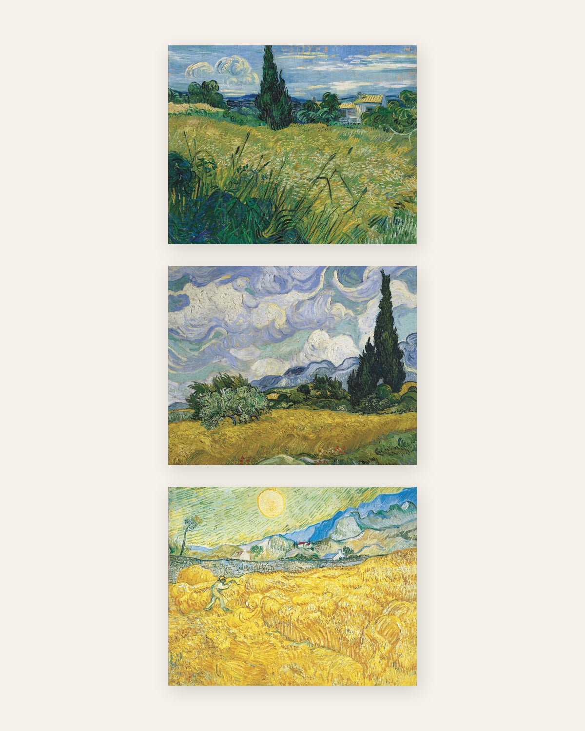 Plakaty Van Gogha z polami pszenicy, zestaw 3: cyprysy i żniwa, bez ramy