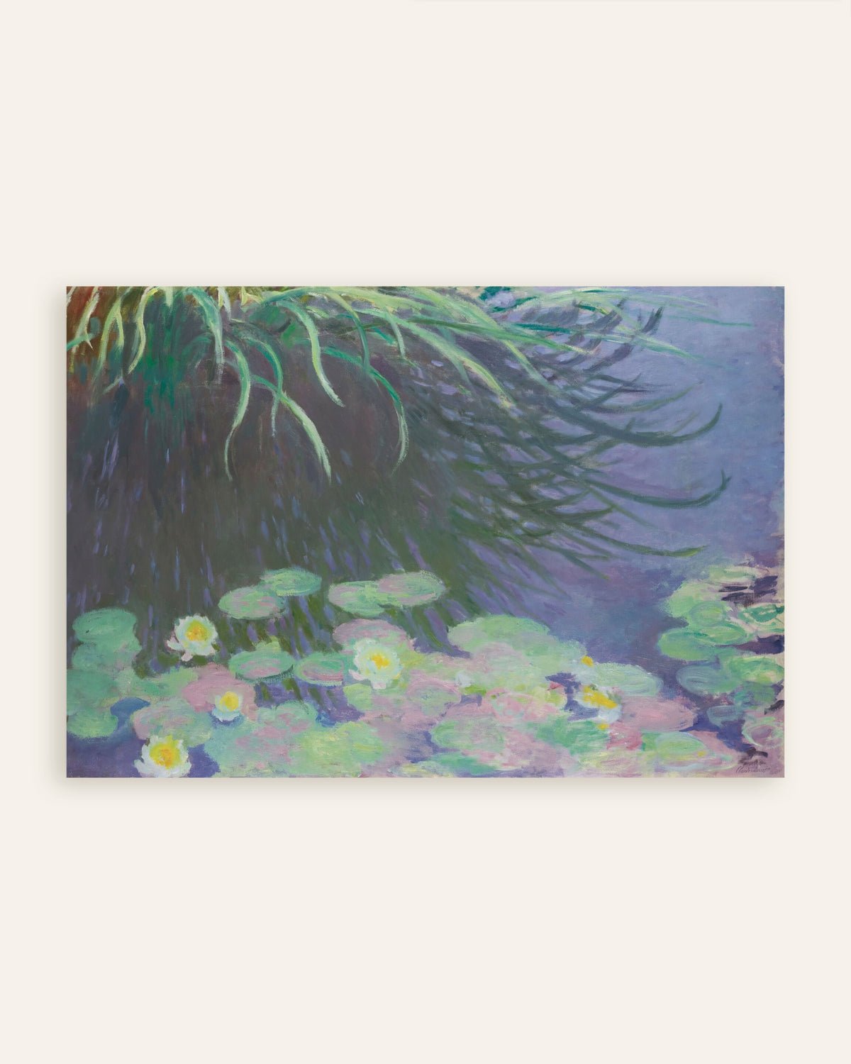Plakat Nenufary z odbiciami wysokich traw (1914–1917), Claude Monet, miniatura