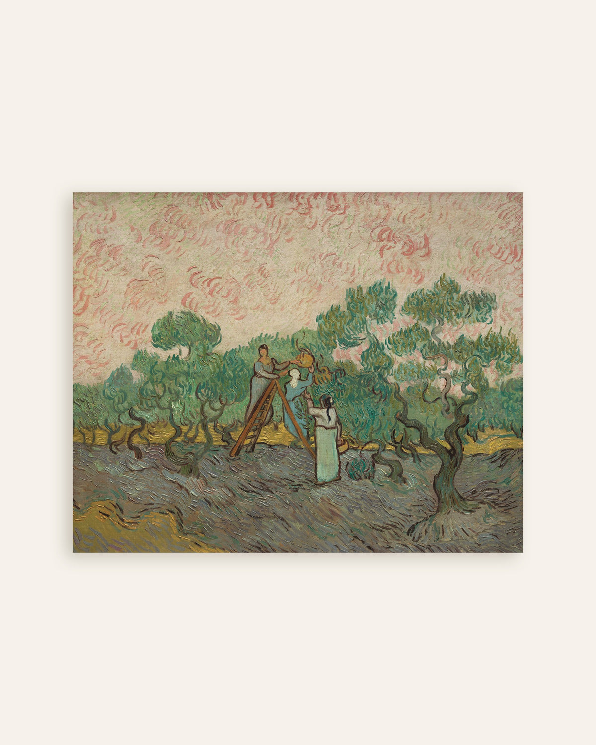 Plakat „Kobiety zbierające oliwki (1889), Vincent van Gogh”, miniatura